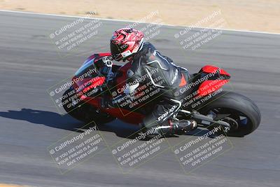 media/Nov-11-2023-SoCal Trackdays (Sat) [[efd63766ff]]/Turn 10 Inside (120pm)/